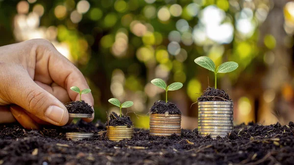 Human hands holding money and trees growing on money investment financial growth concept.