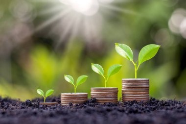 Para, finansal büyüme ve iş yatırımlarından kar elde etmek için madeni para ve toprak fikirlerinde erken olgunlaşın.