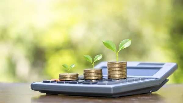 Árbol Moneda Calculadora Con Ideas Para Crecimiento Financiero Beneficio Inversión — Foto de Stock