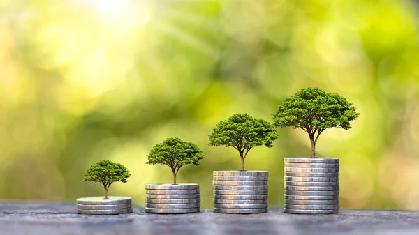 这棵树生长在一堆硬币和木地板上 还有模糊的绿色背景 金融增长概念 — 图库照片