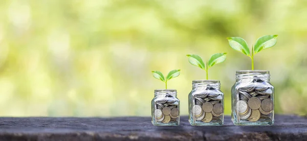 Contexte Commercial Financier Planter Arbre Sur Une Bouteille Monnaie Parquet — Photo