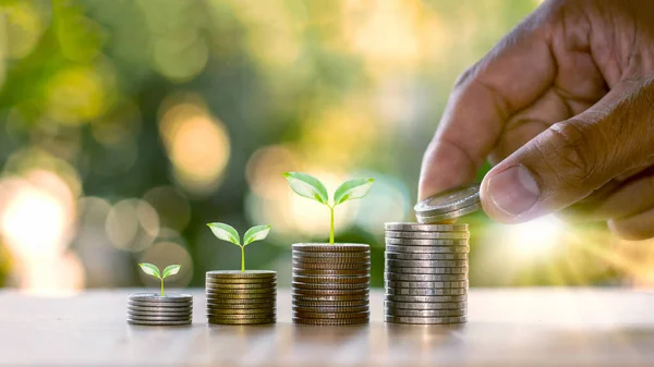 Human hands holding coins and plants sprouting on the coin pile of financial ideas and business growth.