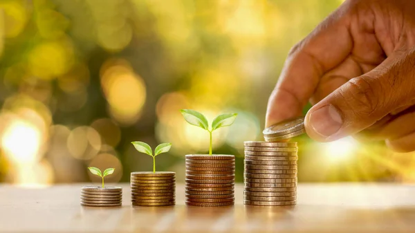 Manos Humanas Sosteniendo Monedas Plantas Brotando Pila Monedas Ideas Financieras — Foto de Stock