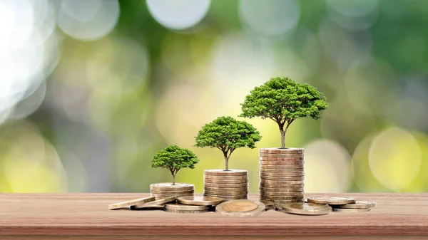 这棵树生长在木制桌子和自然背景 金融投资的概念和经济扩张的基础上的一堆钱上 — 图库照片