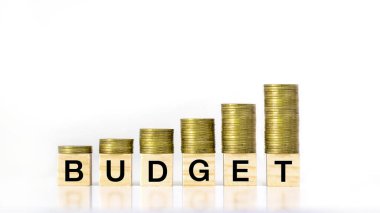 Artan para yığını, beyaz arka plan, yatırım bütçesi fikri ve yıllık bütçeyle etiketlenmiş ahşap bir bloğa basıyor.