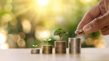 Madeni paranın üzerinde büyüyen küçük bir ağaç ve bozuk para tutan bir el ile para büyütme fikri.