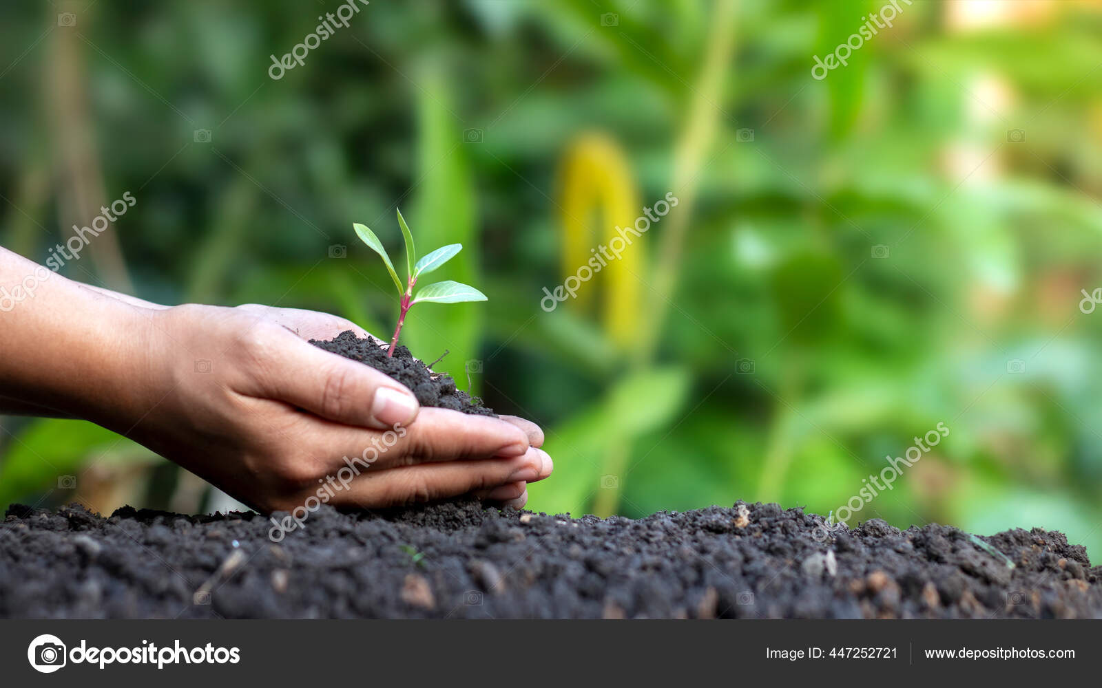 Practice farm барнаул. Пермакультура в практике. Зеленая революция. Человек сажает цветы. International center for tropical agriculture.