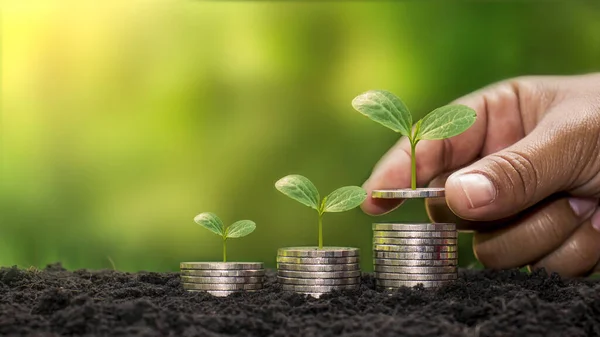 Planting a tree on a pile of money, including the hand of a woman holding a coin to a tree on the coin, money saving ideas and investing in the future.
