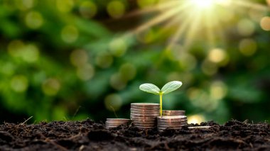 Bozuk para yığınında büyüyen bir tohumun doğal bir zemin, bulanık yeşil, para tasarrufu fikirleri ve ekonomik büyümesi vardır..