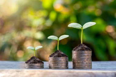 Madeni paralar ve bitkiler finans ve bankacılık için bir yığın madeni para üzerinde yetişir. Tasarruf ve artan finans fikri.