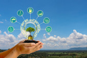 Strom rostoucí v lidské ruce úspora energie žárovka a energeticky úsporná ikona koncept úspory energie a ekologická spotřeba energie.