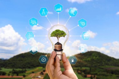 İnsan elinin enerjisinde büyüyen ağaç ampul ve enerji tasarrufu ikonu konsepti olan enerji tasarrufu ve çevre dostu enerji tüketimi.