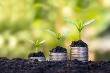 Madeni paralar ve bitkiler finans ve bankacılık için bir yığın madeni para üzerinde yetişir. Tasarruf ve artan finans fikri.