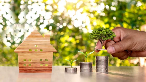 Hand holding coin with coin plant and wooden house on wooden table and blurred green nature background Concept of investing in real estate business