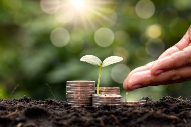 Bozuk para ve el yığınında büyüyen bir fidan bitkiyi beslemenin yanı sıra tohumları doğal yeşil bir arka planla sulamak, para biriktirme ve ekonomik açıdan büyüme fikri.