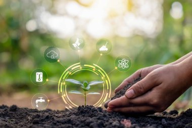 Toprakta yetişen ve ikonlar da dahil olmak üzere bitkilere bakan bitkiler. Bitkilerin büyümesini etkileyen faktörler toprak, su, besin maddeleri veya gübreler, hava, güneş ışığı ve sıcaklıktır..