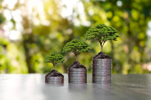 Coins and plants are grown on a pile of coins for finance and banking. The idea of saving money and increasing finances.