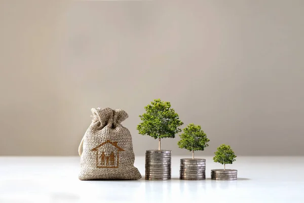 Trees grow on piles of money and bags for saving money to buy a house, financial ideas and economic conditions.