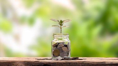 Mali Planlama ve Emeklilik Fikirleri Ahşap bir masa üzerinde para biriktirmek için bir şişe ağacı dikmek Ve bulanık doğal yeşil arka plan