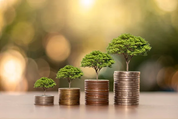 植物生长在堆积如山的硬币或木地板上的金钱上 为可持续发展而存钱 经济增长和融资的概念 — 图库照片