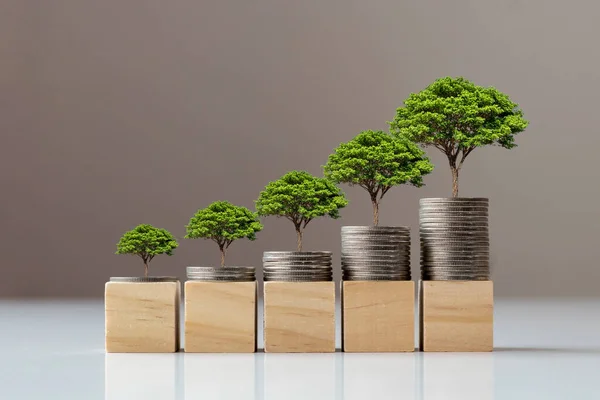 Árbol Creciendo Sobre Una Pila Monedas Bloques Madera Concepto Finanzas — Foto de Stock