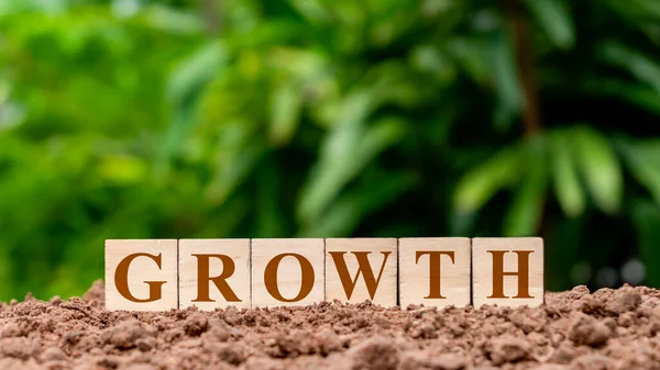 Square wooden blocks labeled growth on the ground money growth concept.