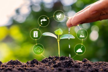 Eller, ekolojik konsept bitki büyüme faktörü ikonu ile toprakta büyüyen suyu, bitkileri ve ağaçları yönlendiriyor. Dünya günü kartları çevreyi korur dünyayı temiz tutar.