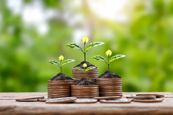 Árbol Creciendo Una Pila Monedas Plata Fondo Naturaleza Verde Borrosa — Foto de Stock