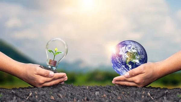 Planeta Mãos Mãos Humanas Segurando Mudas Crescendo Moedas Lâmpadas Energia — Fotografia de Stock