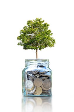 Beyaz arka planda izole edilmiş para biriktirmek için şişede ağaç yetişiyor