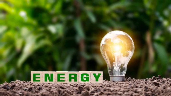 Woodblock labeled Energy on the ground and energy-saving light bulbs that illuminate green energy and energy-saving ideas.