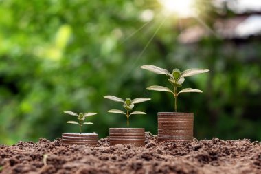 Madeni para yığınının üstündeki ağacın büyüme dizisi maddi büyüme, ekonomik büyüme ve sürdürülebilir kalkınma kavramlarını sembolize etmektedir..