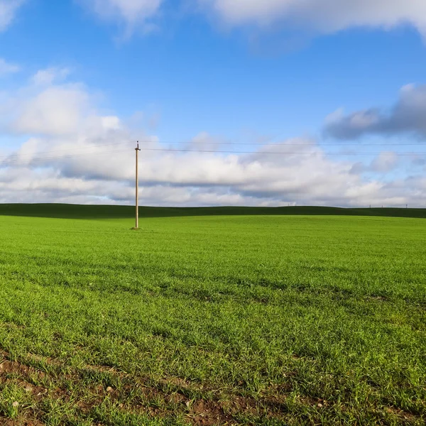 Green grass field on hills and blue sky with clouds in the countryside. Natural landscape — Stock Image Green Grass Field Hills Blue Sky Clouds Countryside Natural Landscape Stock Image