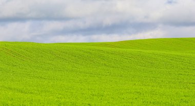 Tepelerdeki yeşil çayır ve kırsalda bulutlu mavi gökyüzü. Doğal manzara.