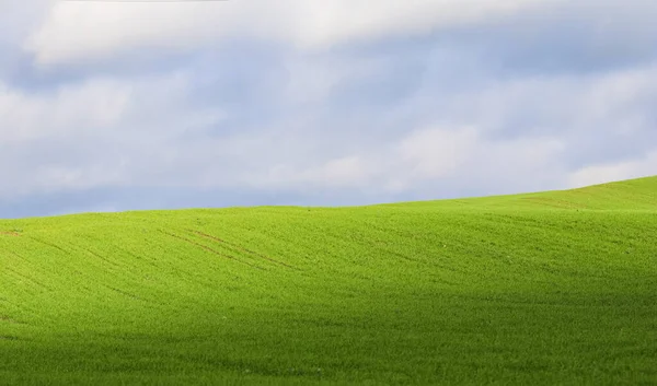 Campo Grama Verde Colinas Céu Azul Com Nuvens Campo Paisagem — Fotografia de Stock