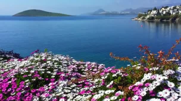 Costa Del Egeo Con Maravillosas Aguas Azules Islas Montañas Pequeñas — Vídeos de Stock