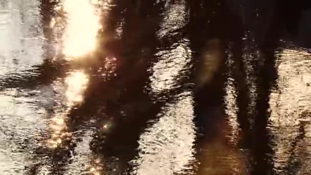Золотий захід сонця над рікою. Відбиття сонячного світла та стовбурів дерев у потоковій воді. фон природи — стокове відео