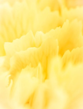 Retro sanat, klasik kart ve botanik konsepti soyut çiçek arkaplanı, sarı karanfil çiçek yaprakları. Tatil markası tasarımı için Macro çiçek arkaplanı