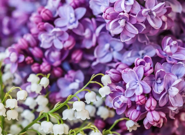 Abstract floral background, blooming purple terry Lilac flower petals and lily of the valley flowers Stock Photo