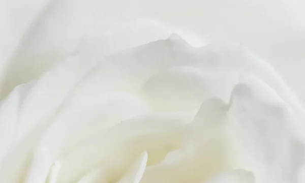 Astratto sfondo floreale, petali di fiori di rosa bianca — Foto Stock