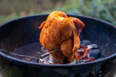 Tavuk tutacağında marine edilmiş tavuk ve barbeküde termometre ve parlayan kömür. Bahçedeki barbekü sırasında yakın plan..