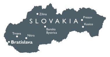 Vektör Slovakya Haritası