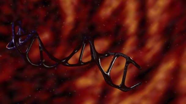 STRANDS DNA Gerakan abstrak — Stok Video