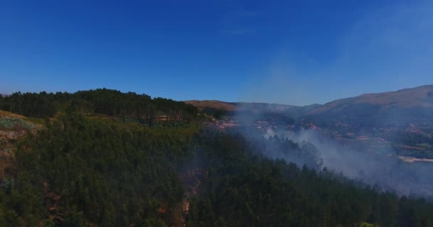 Grande incendio boschivo in campagna dal Portogallo — Video Stock