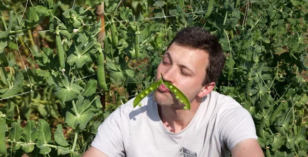 Homem com um Pea Pod como e Mustaches — Fotografia de Stock