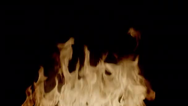 Közelkép Égő Tűzről Tábortűz Éjszaka Lángok Fekete Háttérrel Lassított Felvételű — Stock videók