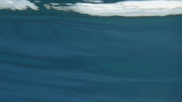 Claro Sumergido Bajo Agua Hermosa Luz Del Océano Juega Elemento — Vídeos de Stock