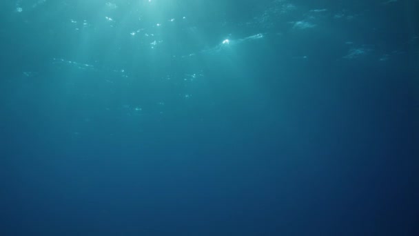 Solstrålar Tränger Vågytan Ocean Bakgrund Ljusschakt Vfx Element Tropiska Marina — Stockvideo