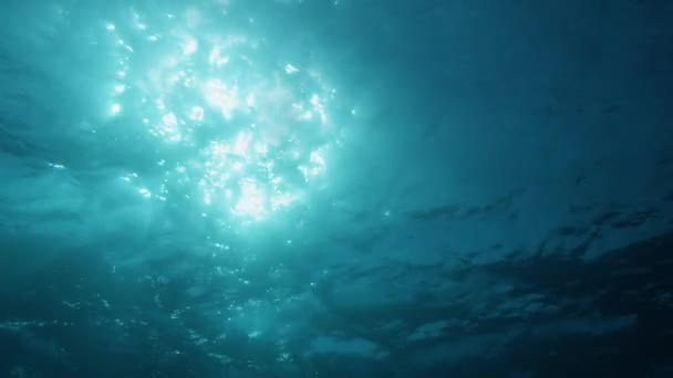 Солнечные Лучи Проникают Сквозь Волнистые Поверхности Океана Океан Подсветки Валов — стоковое видео
