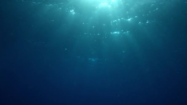 Sunbeams Penetrating Wavy Ocean Surfaces Ocean Background Light Shafts Vfx — Stock Video